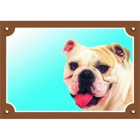 Farebná ceduľka Pozor pes, Buldog anglický