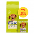 PURINA Dog Chow Adult Lamb - suché krmivo pro psy - 14 + 2,5kg