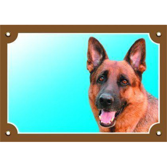 Farebná ceduľka Pozor pes, Nemecký ovčiak spredu