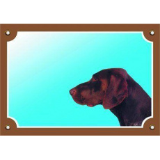 Farebná ceduľka Pozor pes, Nemecký stavač hnedý