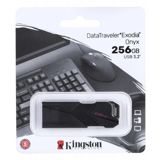 Kingston Technology DataTraveler Exodia Onyx USB paměť 256 GB USB Typ-A 3.2 Gen 1 (3.1 Gen 1) Černá