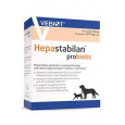 Hepastabilan Probiotic pre psy a mačky 60cps