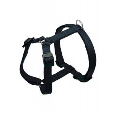 Postroj CHAMPION P M čierna FP 1ks