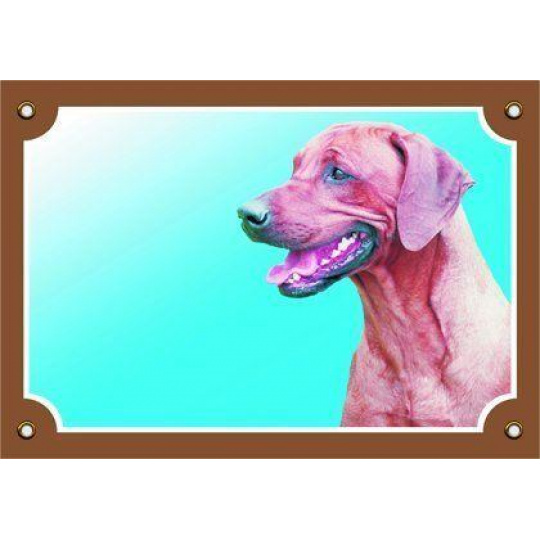 Farebná ceduľka Pozor pes, Rhodésky ridgeback Farebná ceduľka Pozor pes, Rhodésky ridgeback