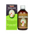 Knoblamin E pre exoty cesnakový olej 500ml