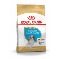 Royal Canin BHN Cavalier King Charles Spaniel Puppy - suché krmivo pro štěňata - 1,5kg