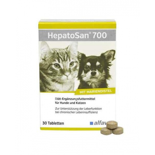 HepatoSan 700 mg 21 g (30 ks) HepatoSan 700 mg 21 g (30 ks)
