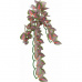 Závěsná terarijní rostlina,  20 x 30 cm, hedvábí