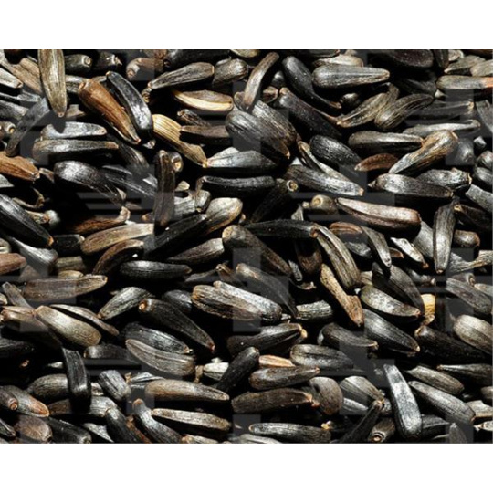 VL Niger 20 kg VL Niger 20 kg