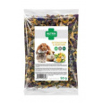 Nutrin Nature Detoxication&Digestion Hlodavec 50g