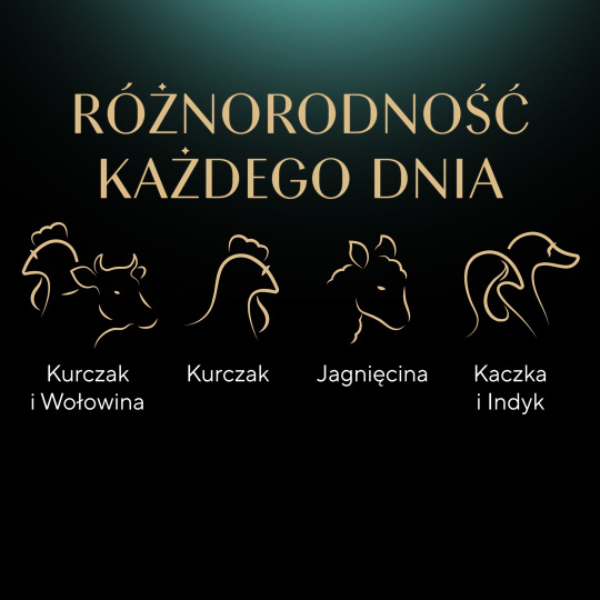 Sheba Selection in Sauce Šťavnaté příchutě 12 x 85 g