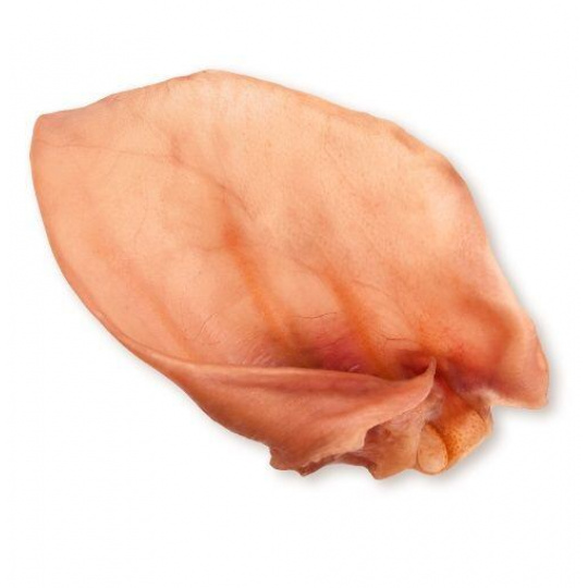 DOG SNAQ bravčové ucho sušené 1 ks DOG SNAQ bravčové ucho sušené 1 ks