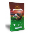 Krmivo pre nosnice ENERGYS Gold 25kg