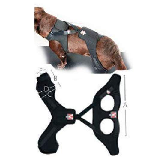 Bandáž Rehab Pro na koleno pre psa KRUUSE XL ľavá