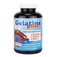 Gelatina Plus 360cps