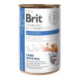 Brit Veterinary Diets GF cat + dog Recovery 400 g konzerva