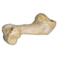 Hovädzia kosť biela - extrudovaná 1 ks/36 cm