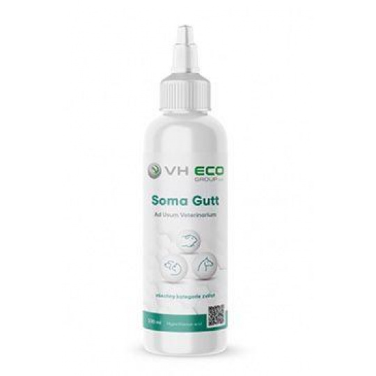 VH Eco Soma Gutt kvapkadlo 100ml VH Eco Soma Gutt kvapkadlo 100ml